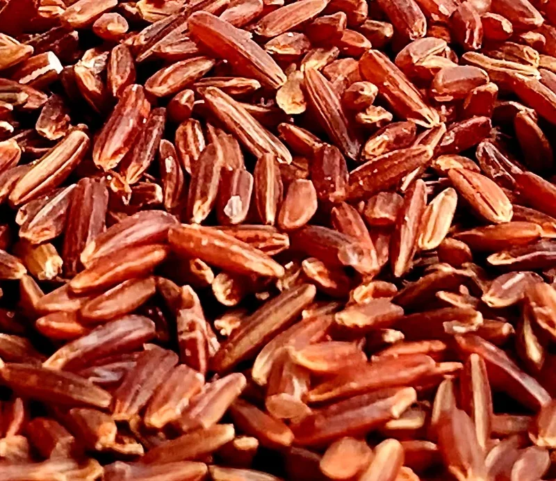 Thai Red Cargo Rice