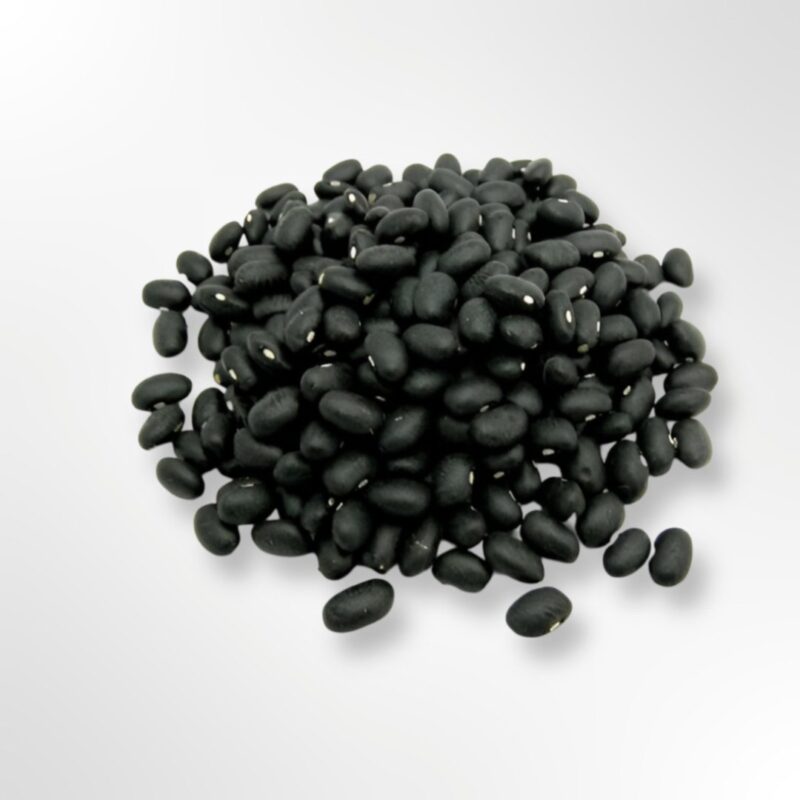 Dried Turtle Black Beans