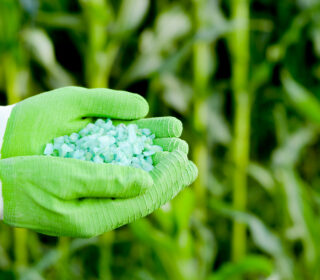 Fertilizers